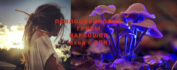 стаф Бугульма