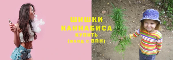 стаф Бугульма