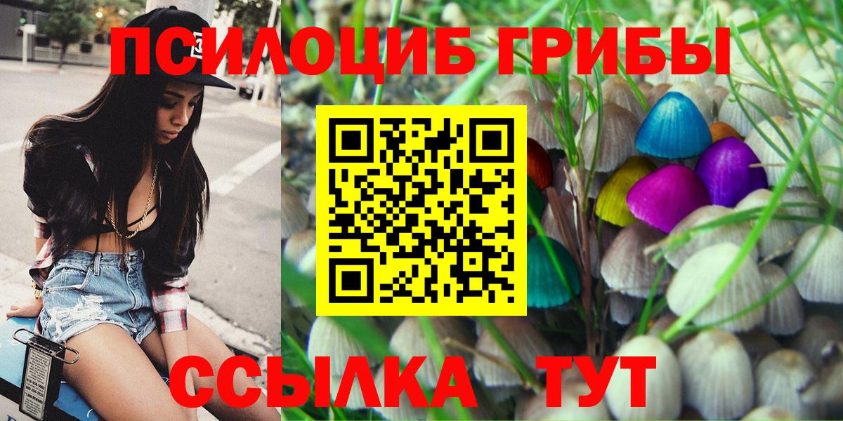 Галлюциногенные грибы Psilocybe  Вход с VPN  Выборг  Галлюциногенные грибы ЛСД 