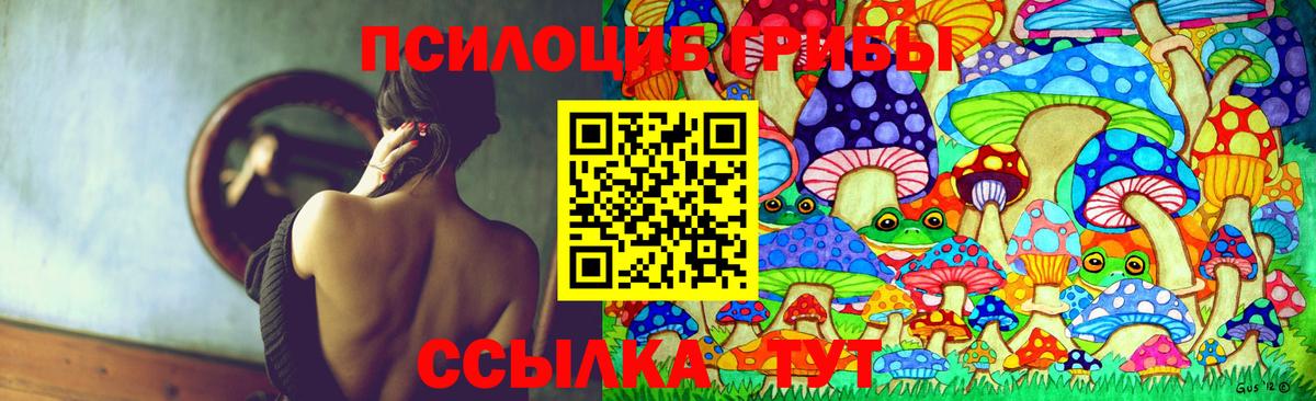 Галлюциногенные грибы Psilocybine cubensis Выборг