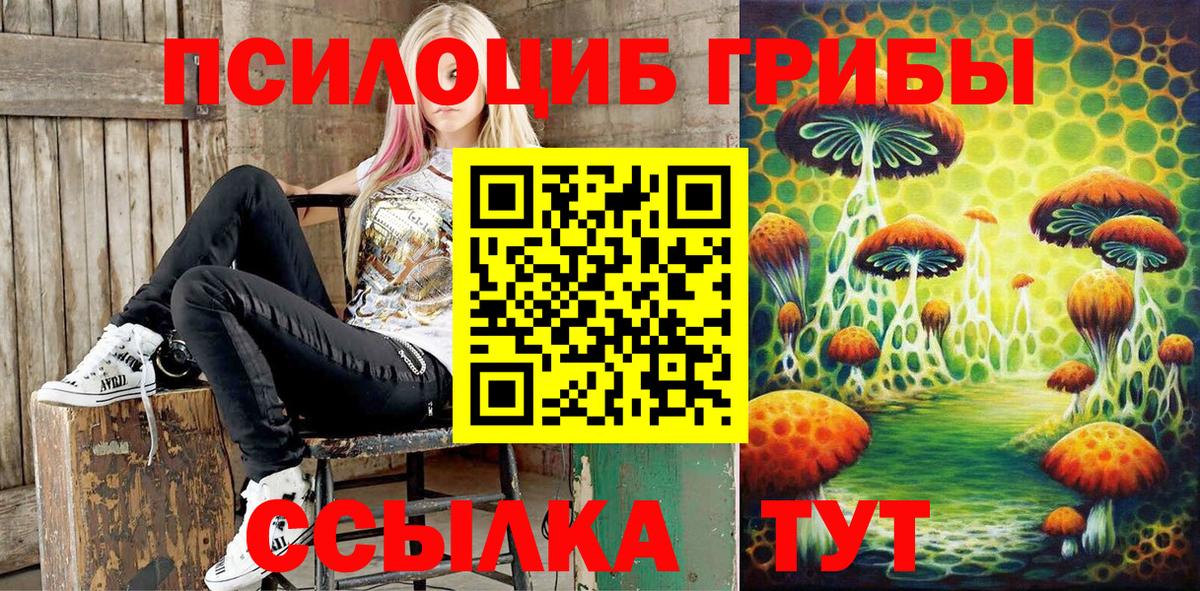 Галлюциногенные грибы MAGIC MUSHROOMS Выборг