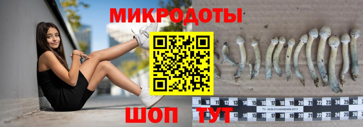 Меф Выборг